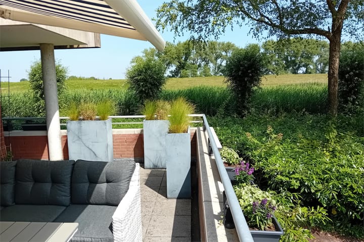 Foto 53 van Maïsveld 20