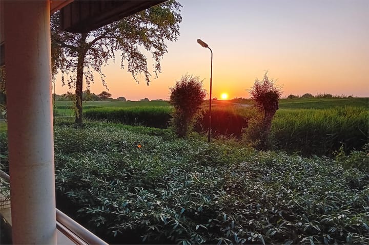 Foto 58 van Maïsveld 20