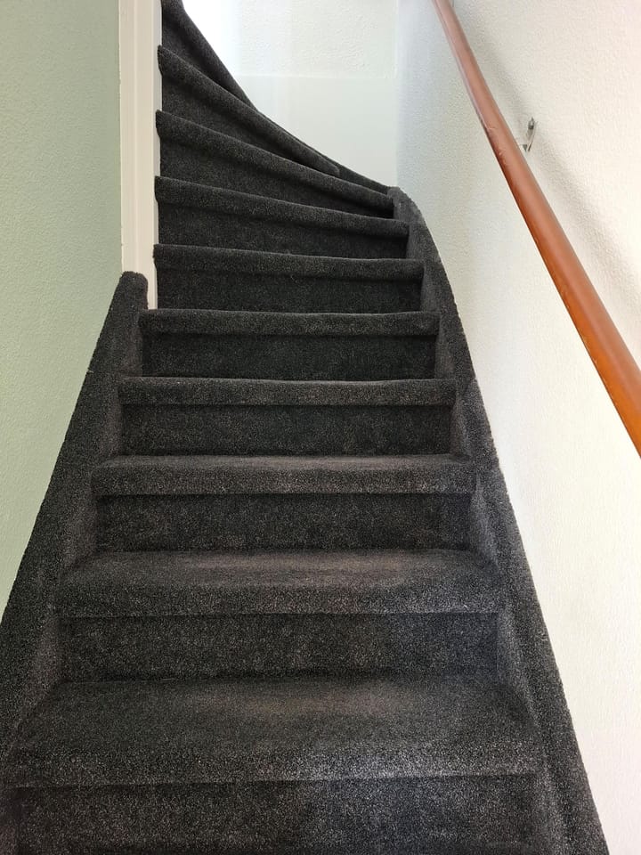 Foto 7 van Rhijnauwensingel 15