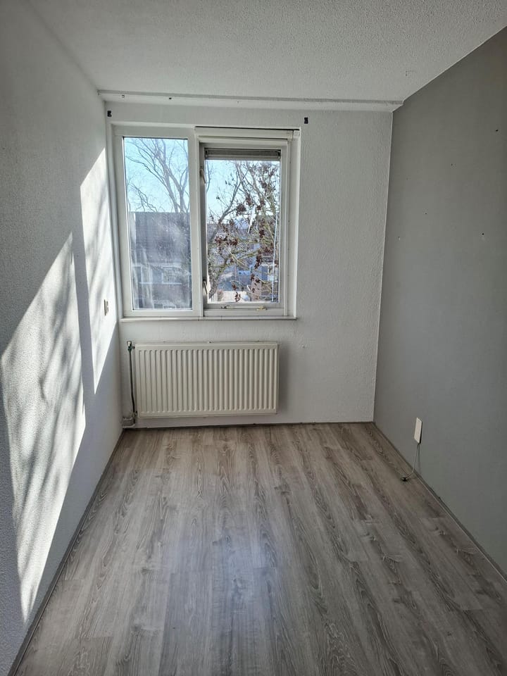 Foto 11 van Rhijnauwensingel 15