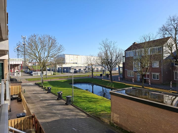 Foto 18 van Rhijnauwensingel 15