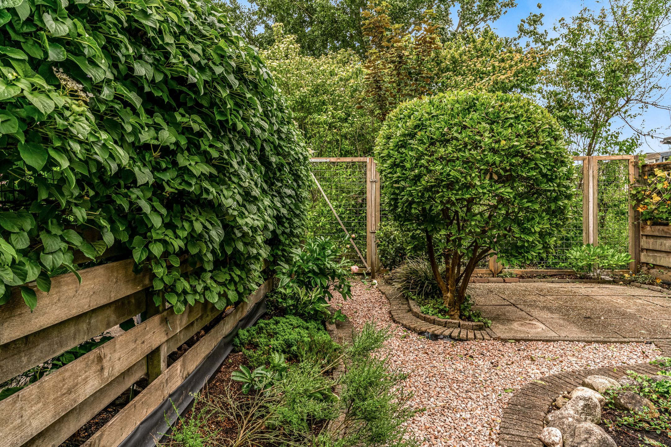 Foto 21 van Bertram 132