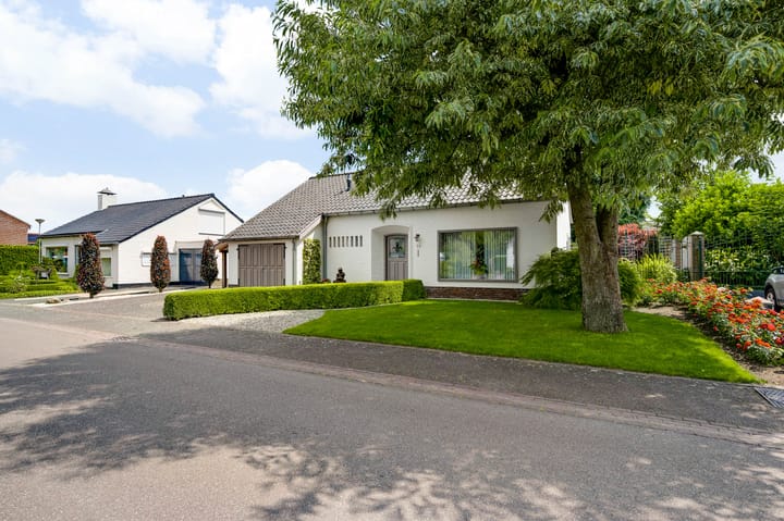 Foto 41 van Beeleweg 19