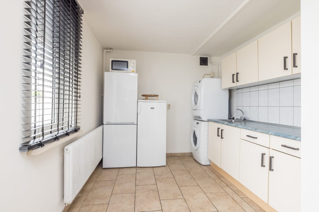 Foto 28 van An de Voeëgelsjtang 29