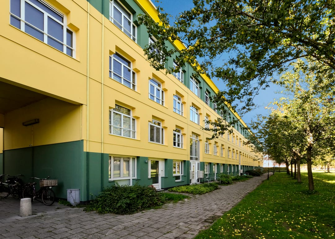 Photo 17 of Bergmolen 60