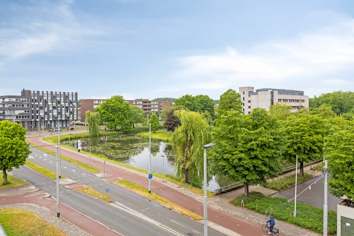 Foto 8 van Van Borselenstraat 50