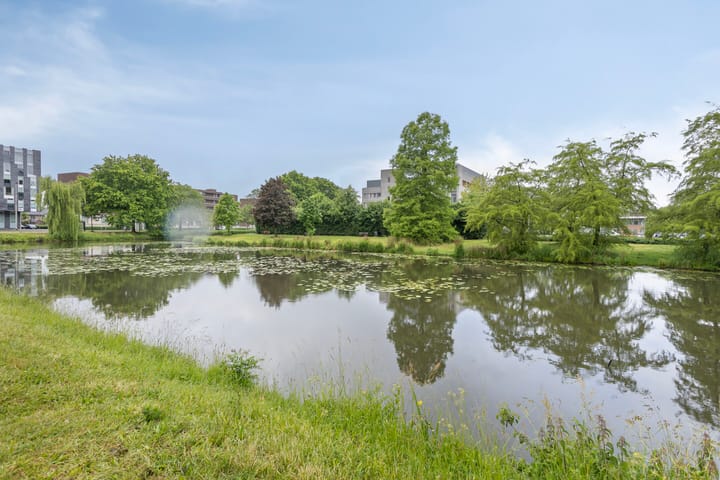 Foto 25 van Van Borselenstraat 50