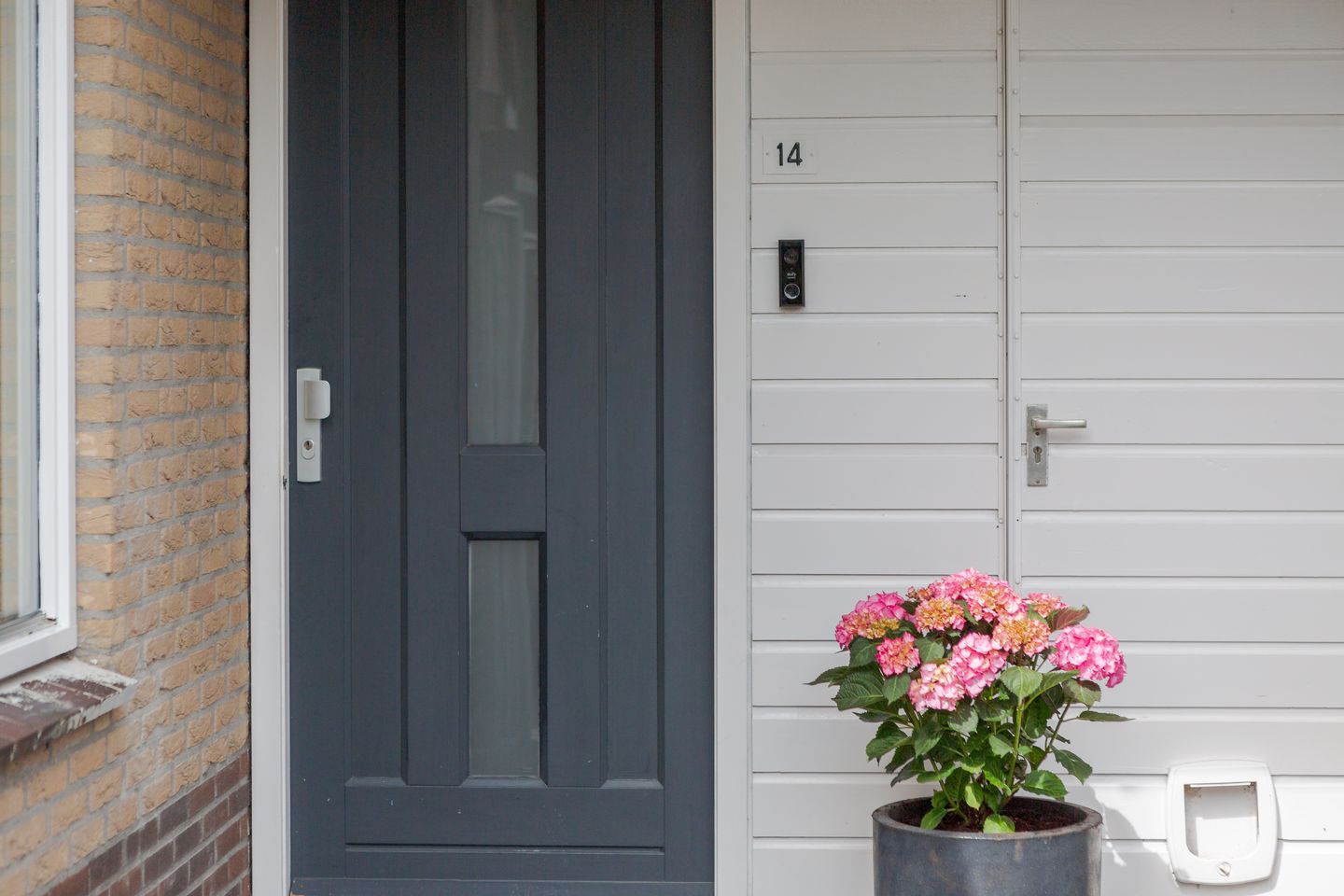 Foto 5 van Wilgeroosje 14