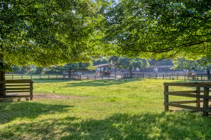 Foto 32 van Socratesstraat 54