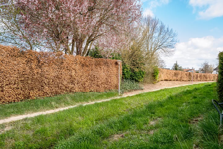 Photo 55 of Commendereijstraat 5