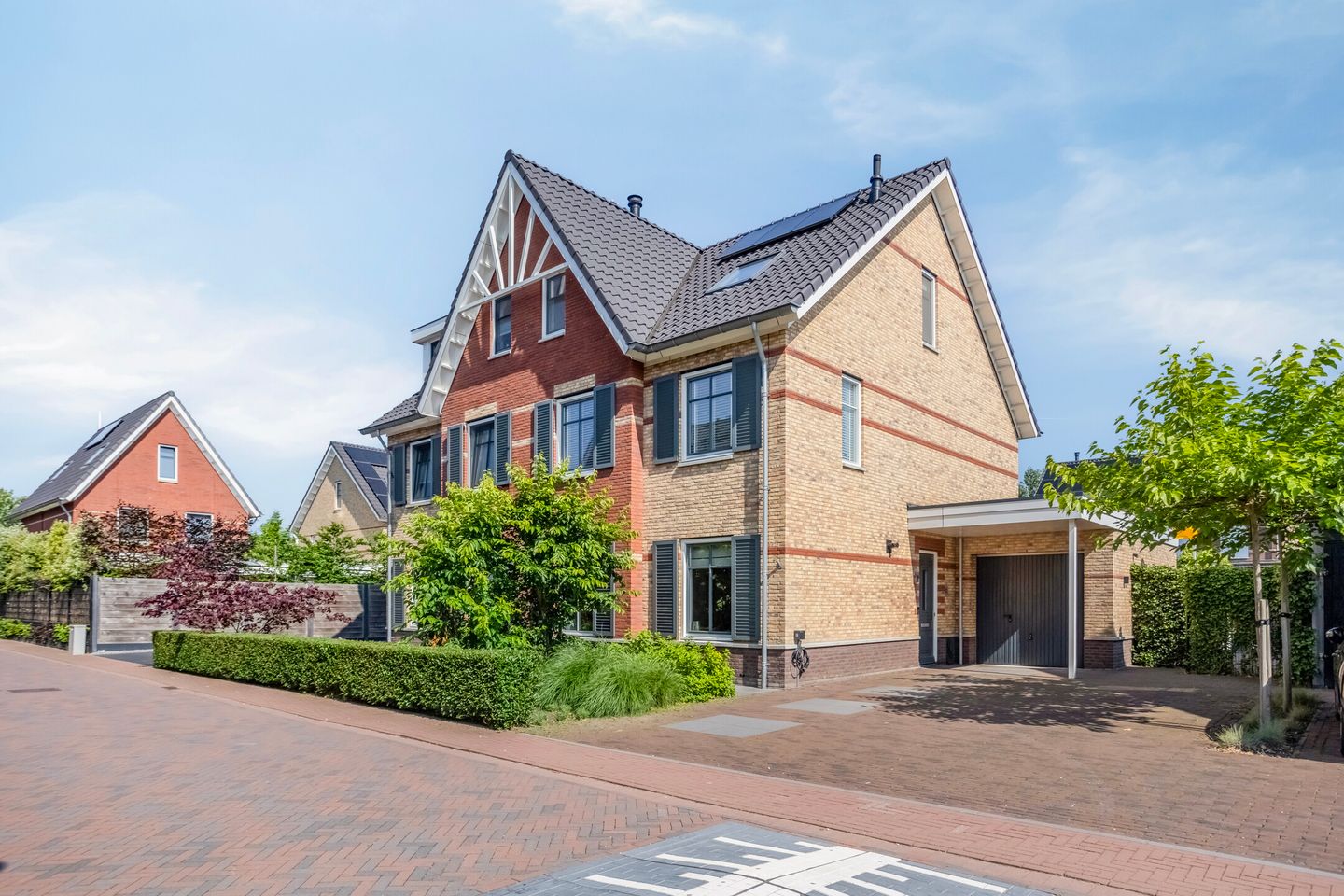 Photo 1 of Meerkoet 3