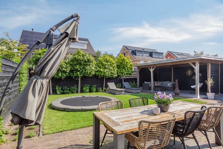 Photo 5 of Meerkoet 3