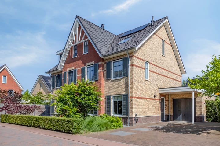 Photo 6 of Meerkoet 3