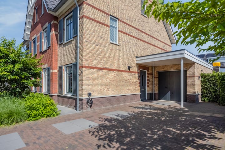 Photo 7 of Meerkoet 3