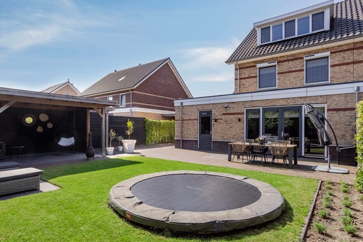 Photo 16 of Meerkoet 3