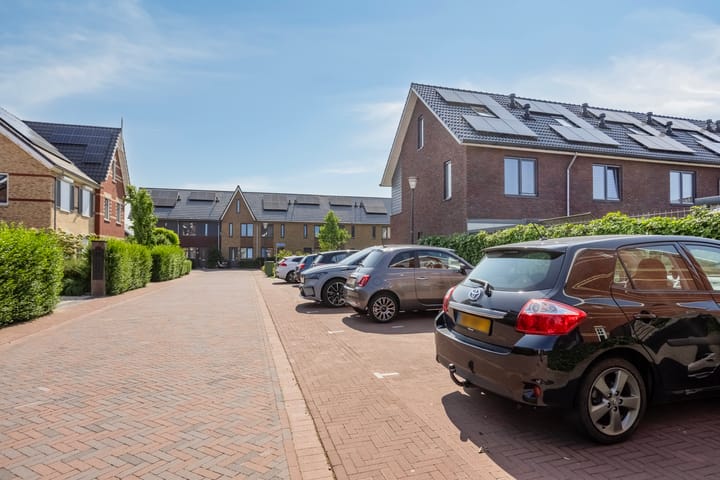 Photo 36 of Meerkoet 3