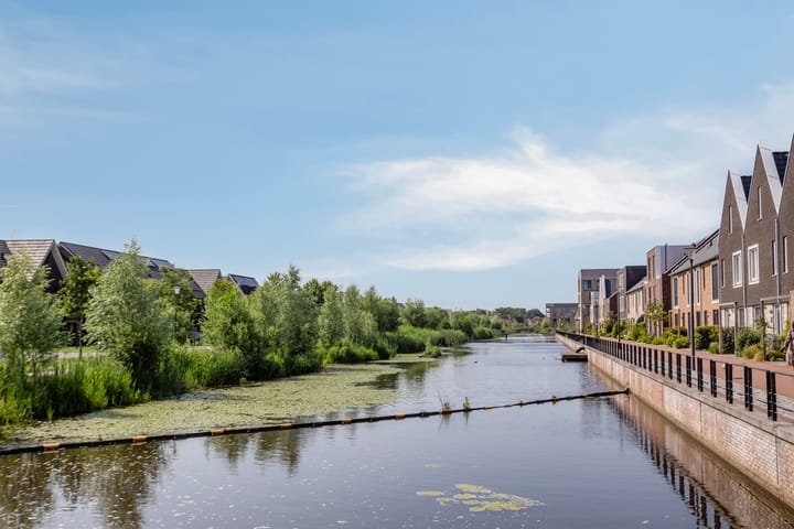 Photo 38 of Meerkoet 3