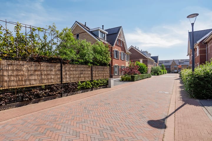 Photo 35 of Meerkoet 3