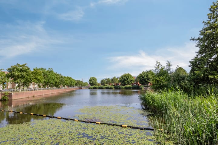 Photo 37 of Meerkoet 3