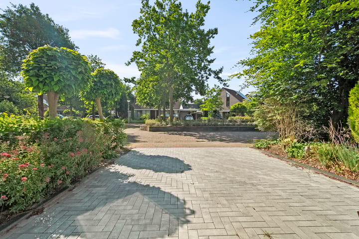 Foto 6 van Omdraai 2