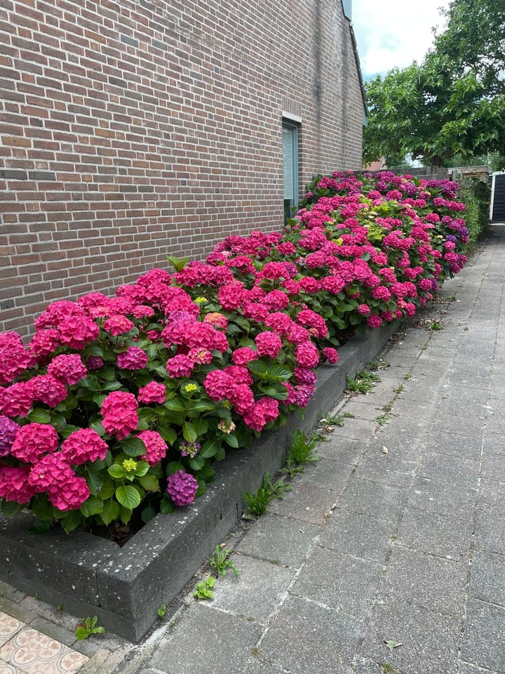 Foto 22 van Omdraai 2