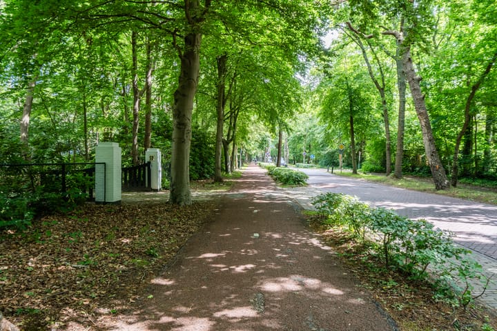 Photo 6 of Eeuwigelaan 54