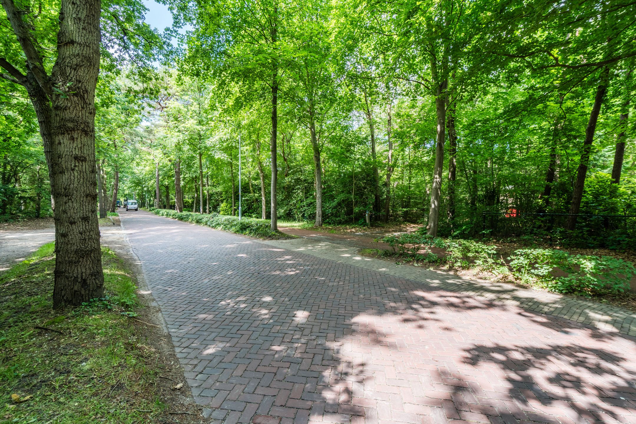 Foto 9 van Eeuwigelaan 54