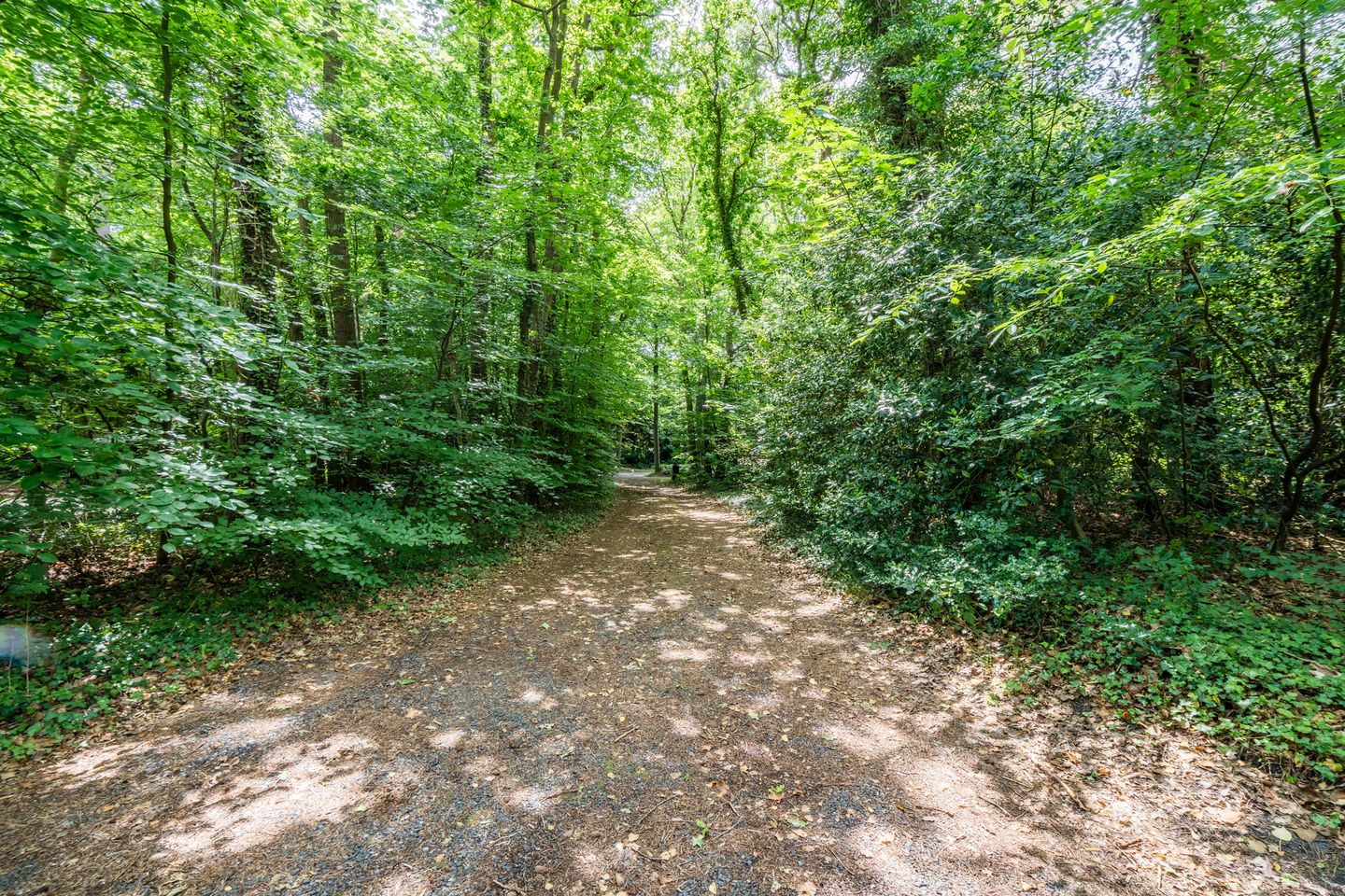 Foto 10 van Eeuwigelaan 54