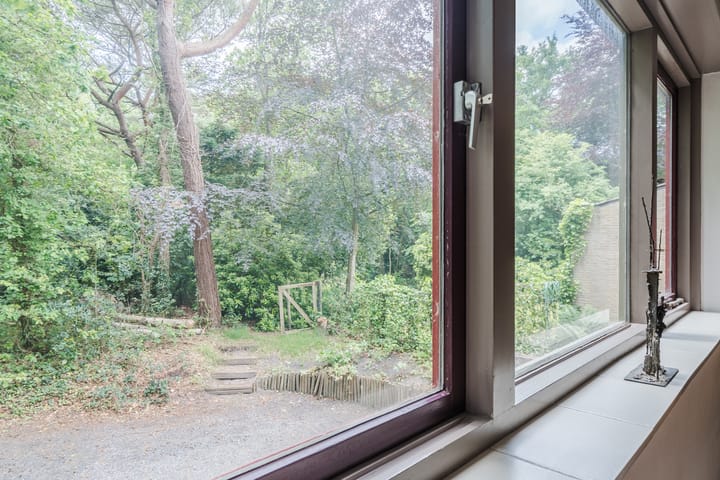 Photo 49 of Eeuwigelaan 54