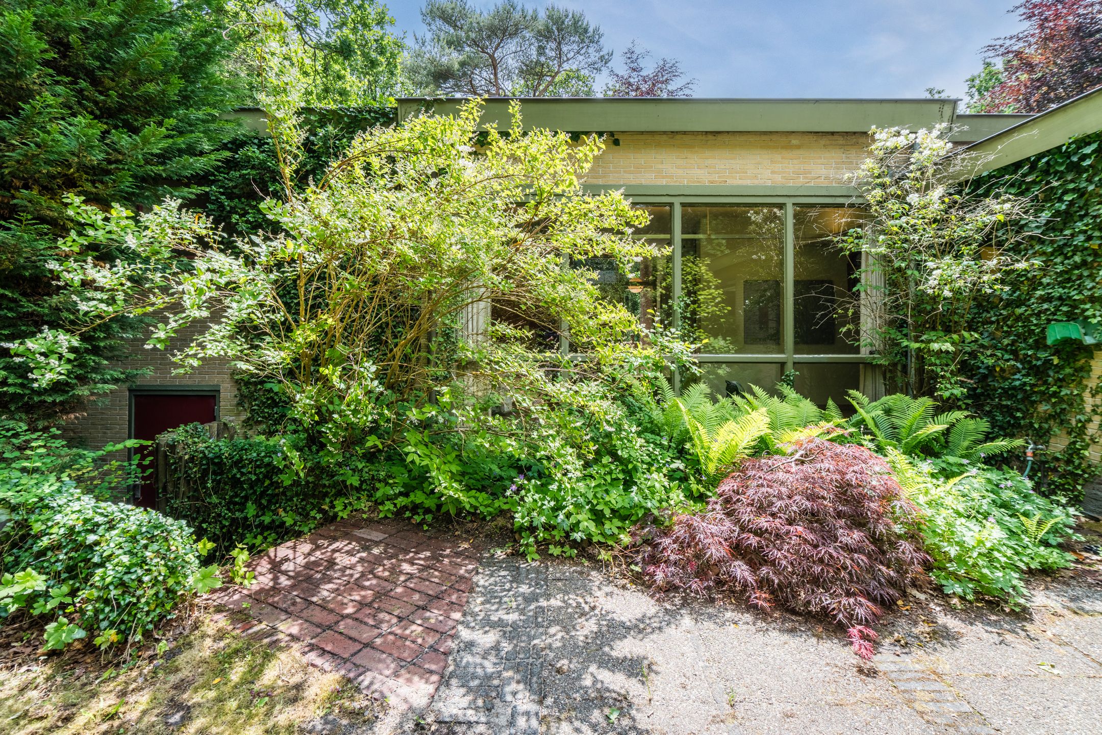 Foto 54 van Eeuwigelaan 54