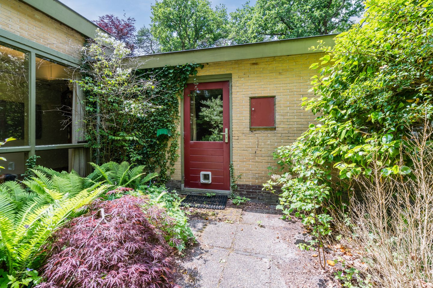 Foto 55 van Eeuwigelaan 54