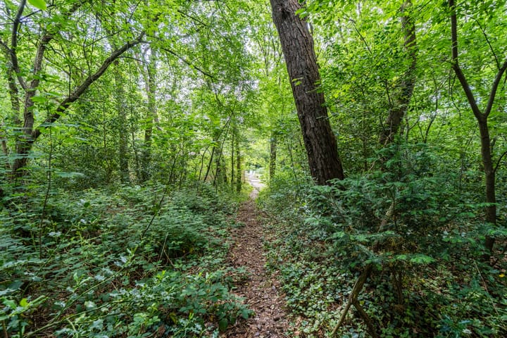 Photo 57 of Eeuwigelaan 54