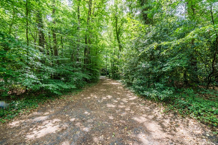 Foto 8 van Eeuwigelaan 54