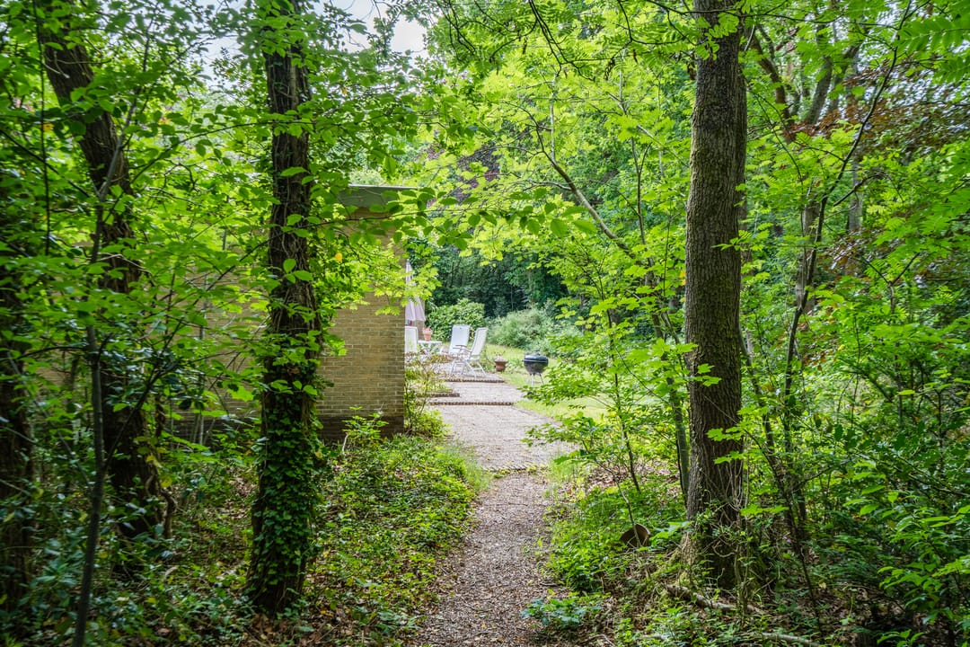 Foto 58 van Eeuwigelaan 54