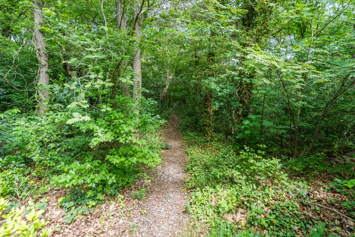 Foto 13 van Eeuwigelaan 54