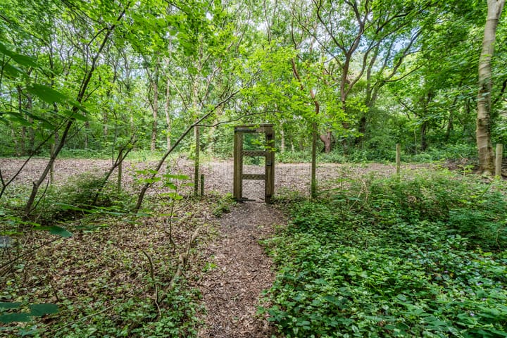 Foto 15 van Eeuwigelaan 54