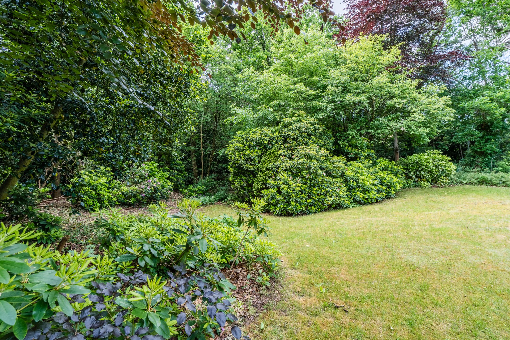 Foto 66 van Eeuwigelaan 54