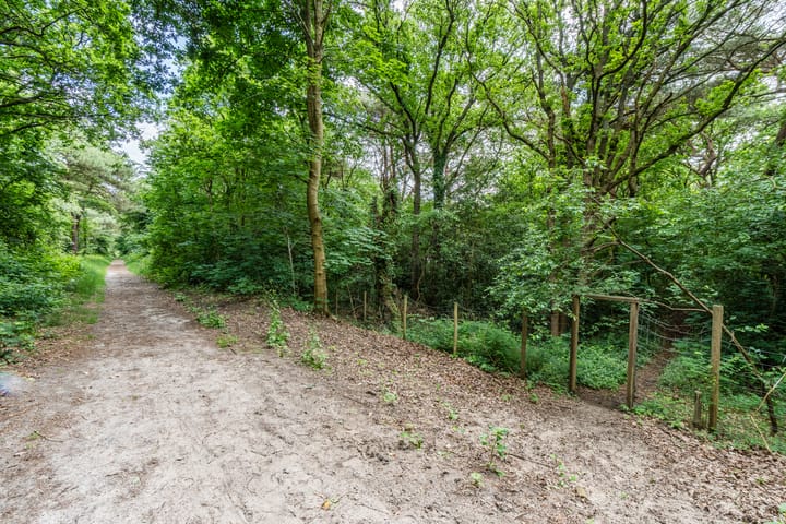 Photo 68 of Eeuwigelaan 54