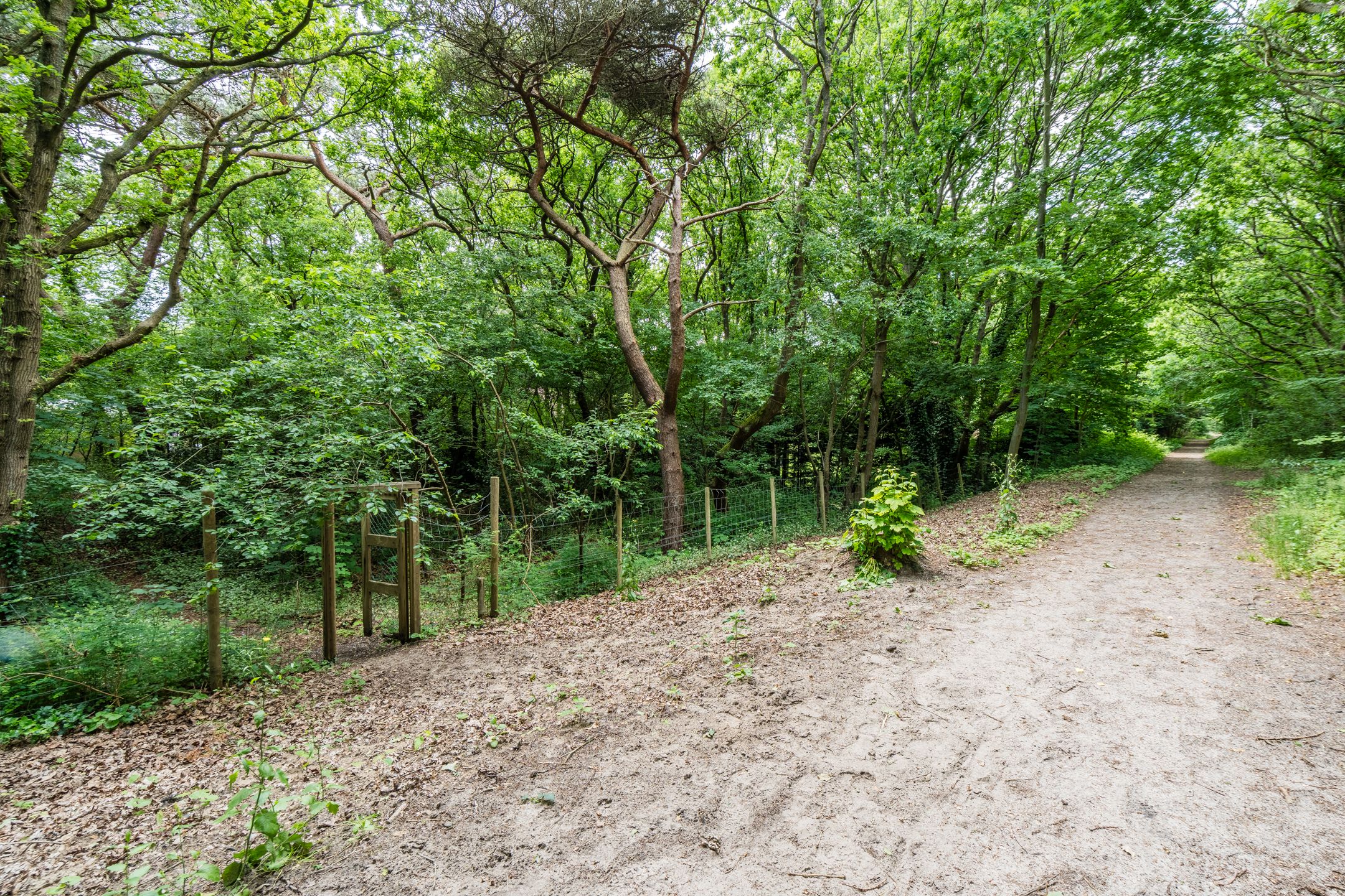 Foto 69 van Eeuwigelaan 54