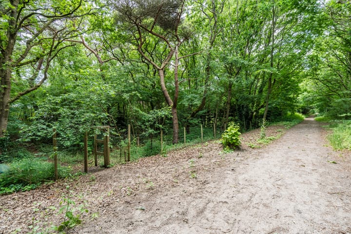 Photo 69 of Eeuwigelaan 54