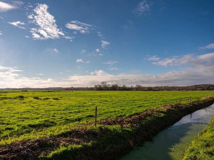 Foto 18 van Eeuwigelaan 54