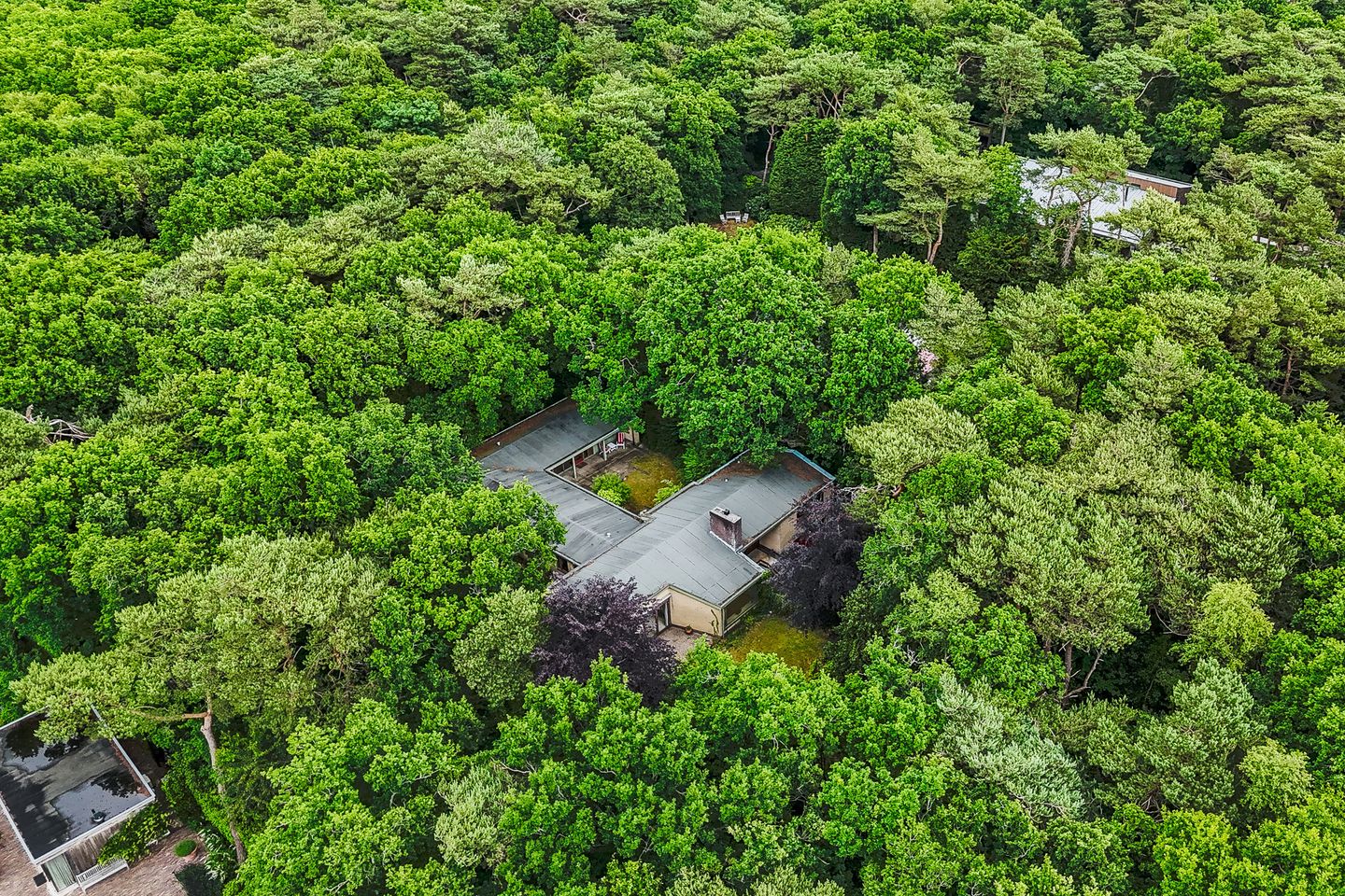 Foto 74 van Eeuwigelaan 54