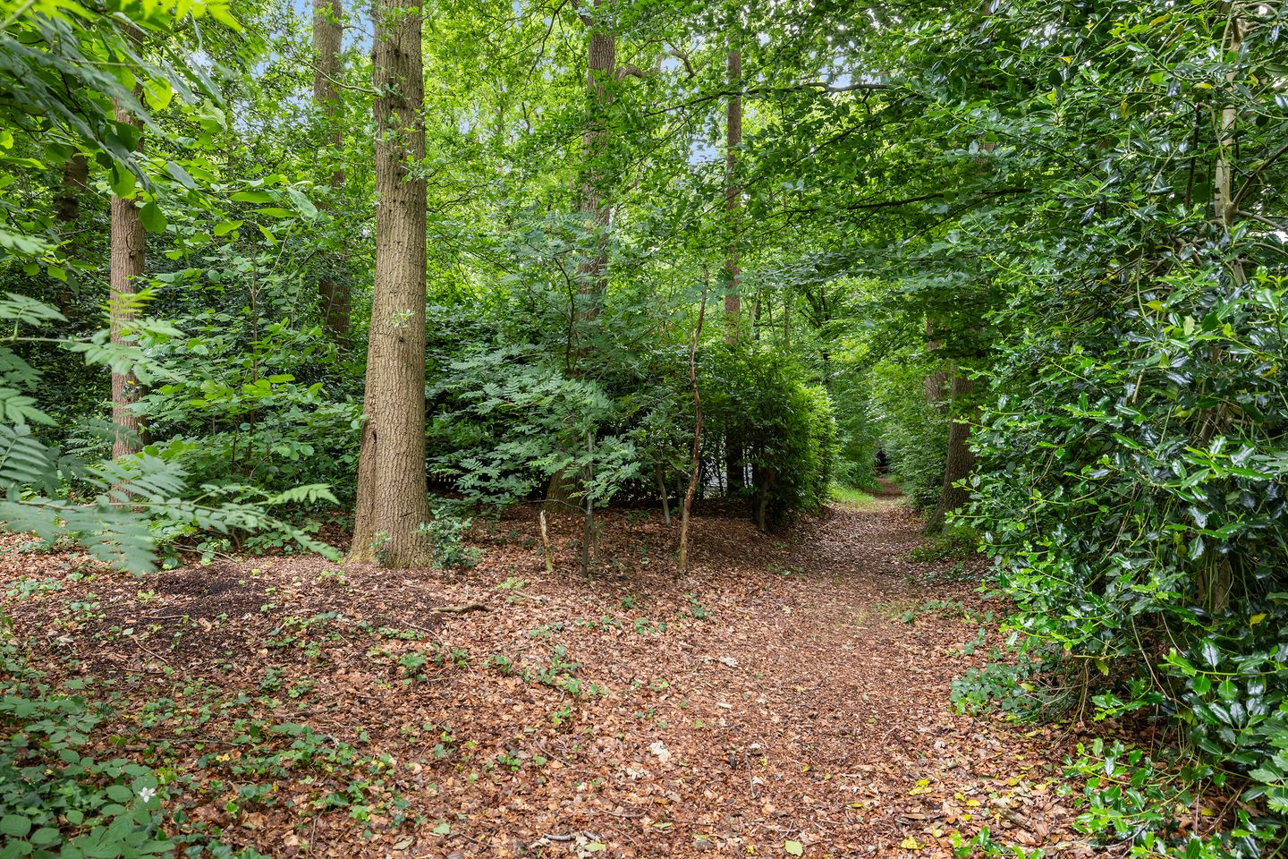 Photo 19 of Sterkenburgerlaan 6-R10