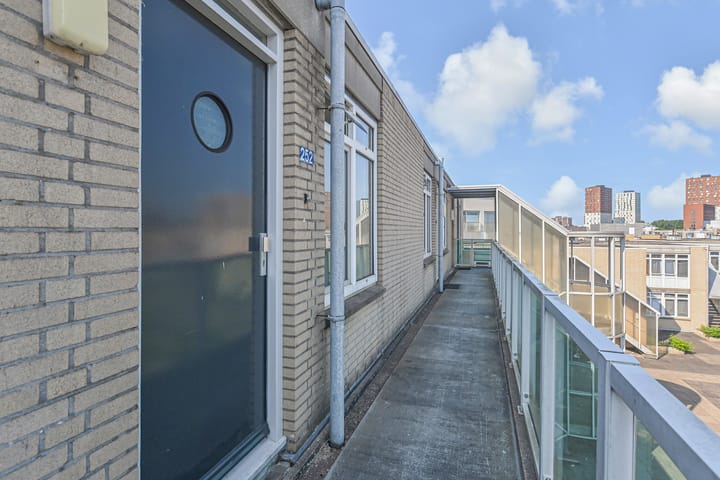 Foto 12 van Promenade 252