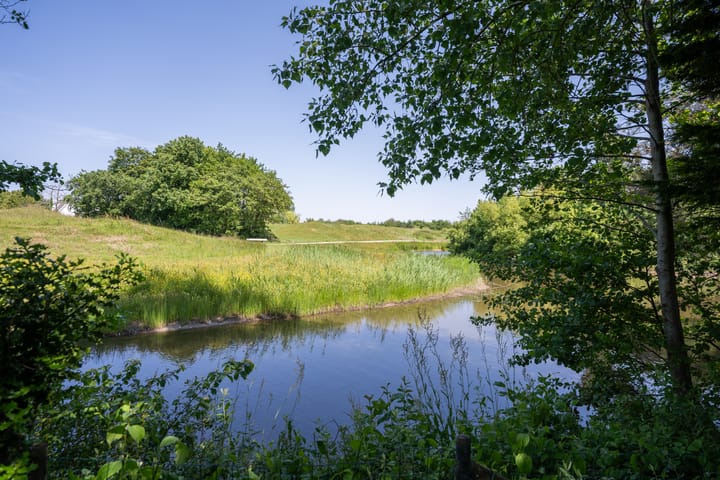 Foto 4 van Roggeslootweg 599