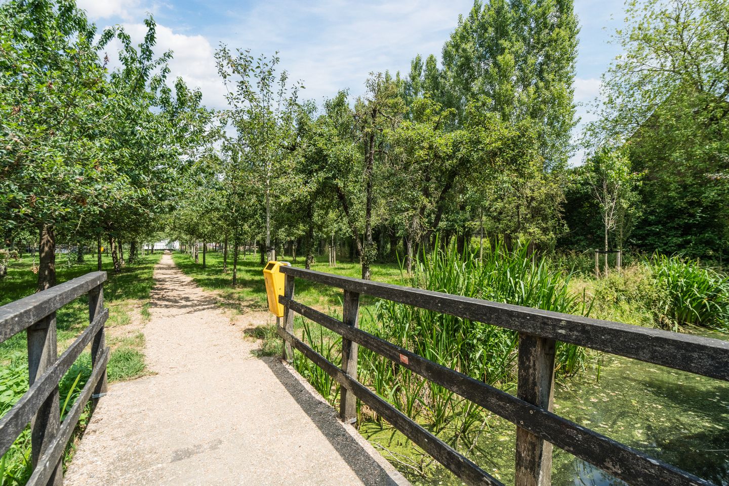 Photo 29 of Dorlandsweer 83