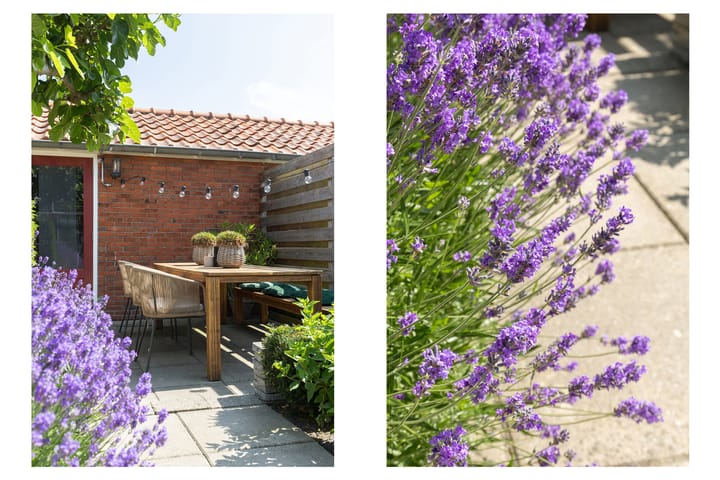 Foto 34 van M. de Klerkstraat 43