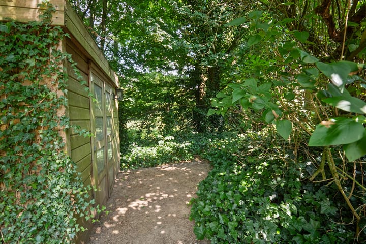 Foto 50 van Taalstraat 66-B