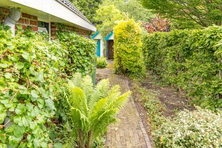 Foto 28 van Trechterbeker 41