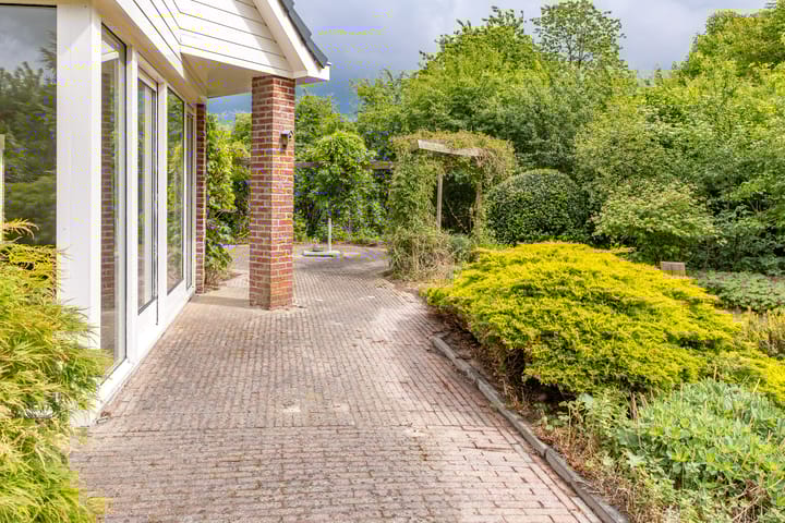 Foto 33 van Trechterbeker 41